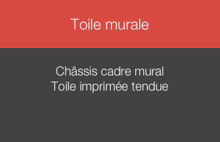 
Toile murale


Châssis cadre mural
Toile imprimée tendue 


